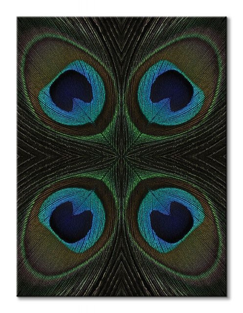 Zdjęcia - Obraz Pyramid Peacock Feather Quartette -  na płótnie 