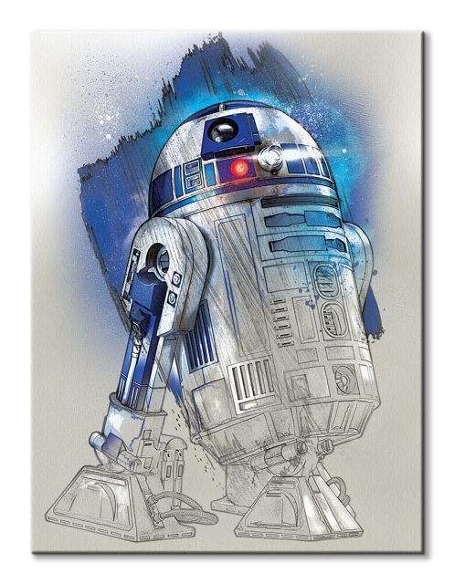 Pyramid Posters Star Wars: The Last Jedi (R2-D2 Brushstroke) - obraz na płótnie 60x80 WDC100195