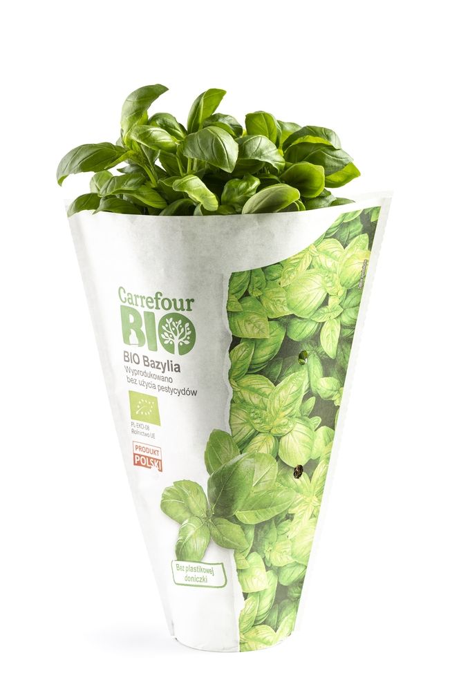 Bazylia BIO Baziółka 1 szt.