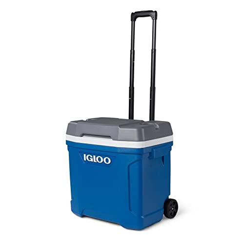 Igloo Latitude 30 QT Roller lodówka