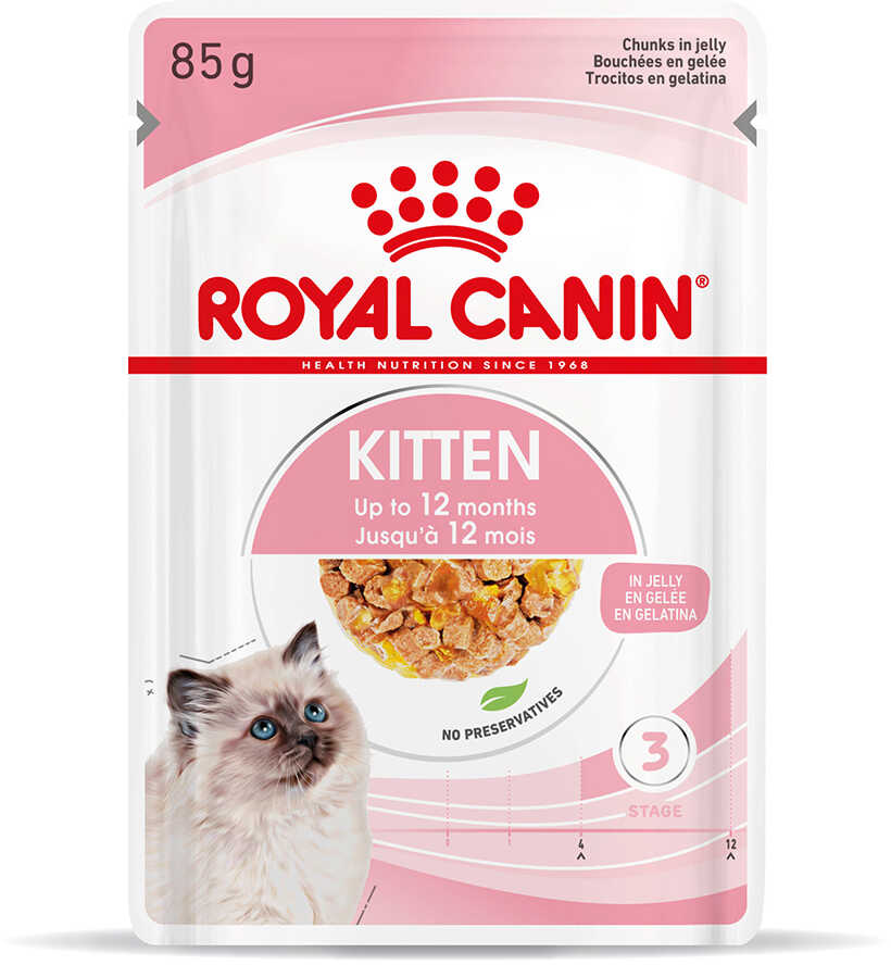 Royal Canin Kitten w galaretce - 12 x 85 g