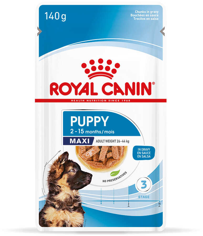 Royal Canin Maxi Puppy, w sosie - 40 x 140 g Dostawa GRATIS!