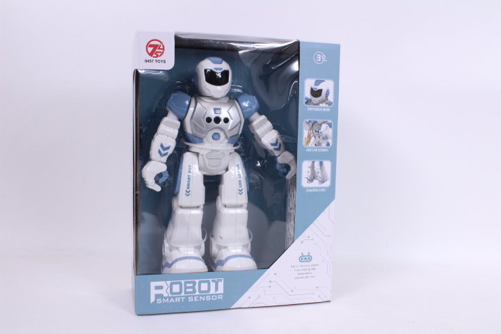 Robot sterowany RC 606-33 12431