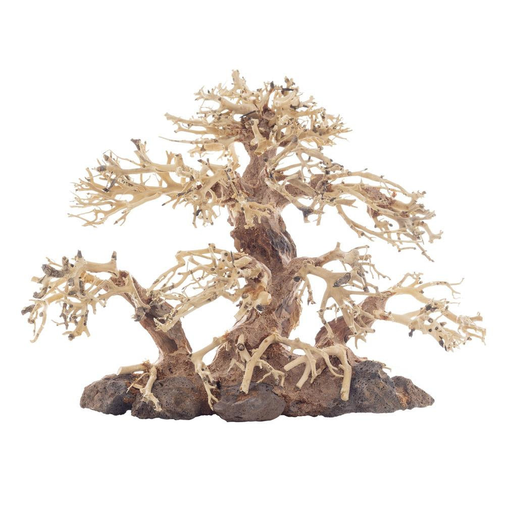 PROGROW Bonsai Tree BT2M 30x15x23cm drzewko