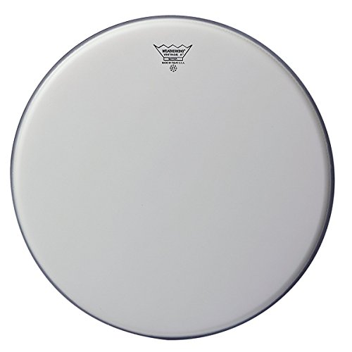 Remo 18