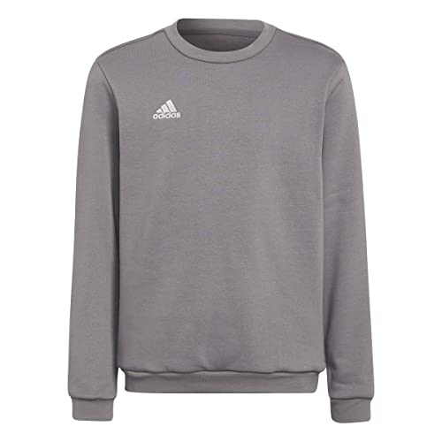 adidas Unisex Kids Sweatshirt Ent22 Sw Topy, Tegrfo, H57477, 116 EU