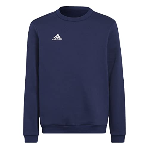Adidas Ent22 Sw Topy bluza dziecięca, uniseks