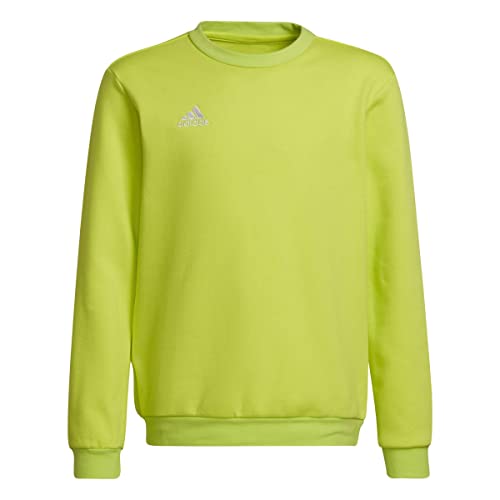 adidas Unisex Kids Sweatshirt Ent22 Sw Topy, Tmssye, HC5043, 140 EU