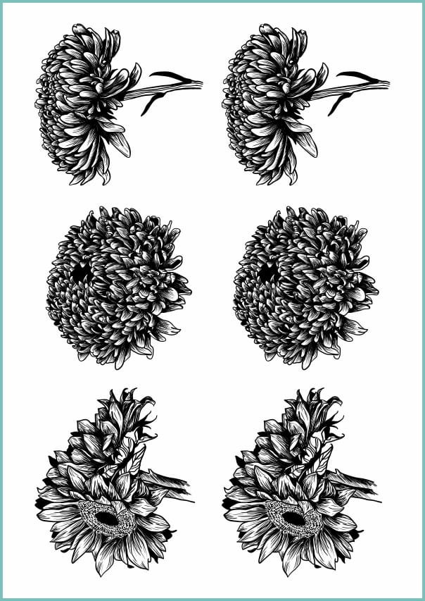 Tatuaże tymczasowe zmywalne ROŚLINY OGRODOWE, Arkusz A4