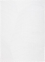DYWAN San Andreas White Grey, biały, geometryczny wzór, szare linie, nowoczesny