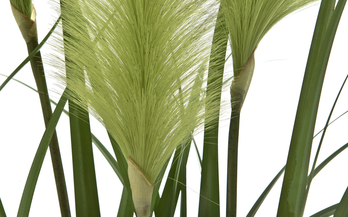 Kwiat w doniczce trawki 80cm