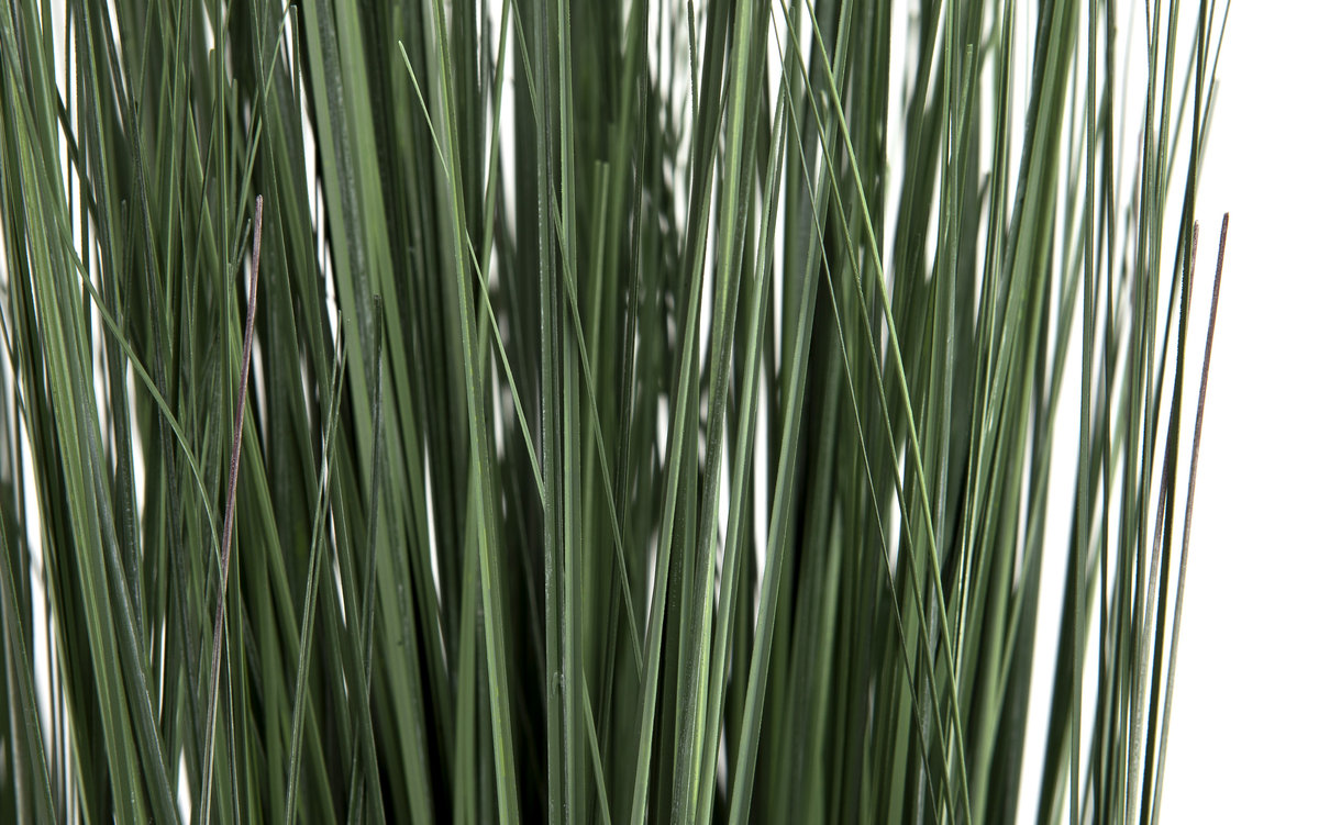 Roślina doniczkowa trawa 70 cm