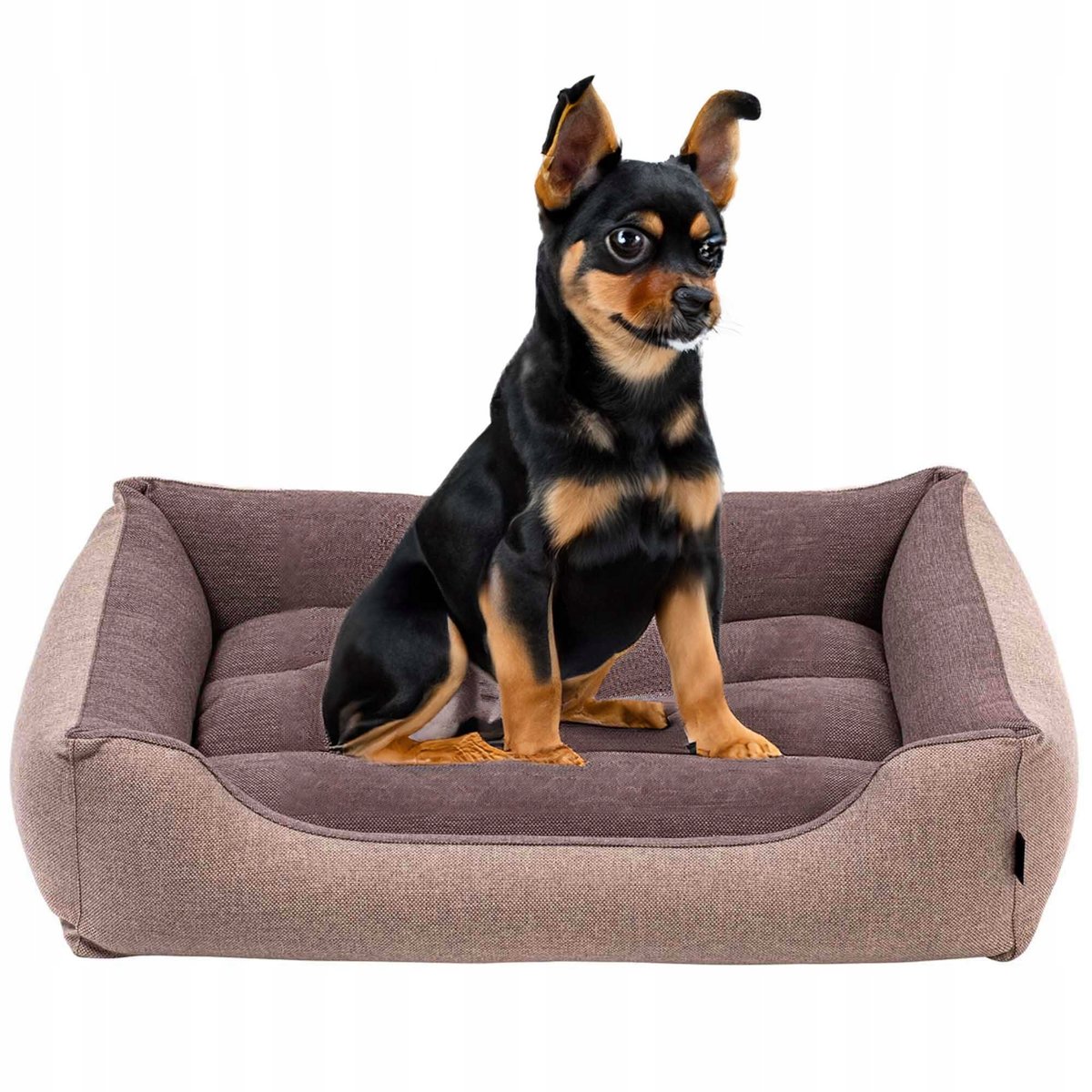 Legowisko Dla Psa Duże M Dwustronne Dwukolorowe Rozbieralne Sofa 80X60 Cm