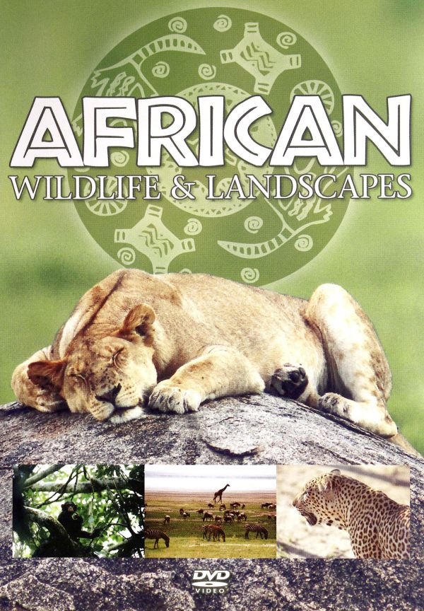 African Wildlife And Landscape