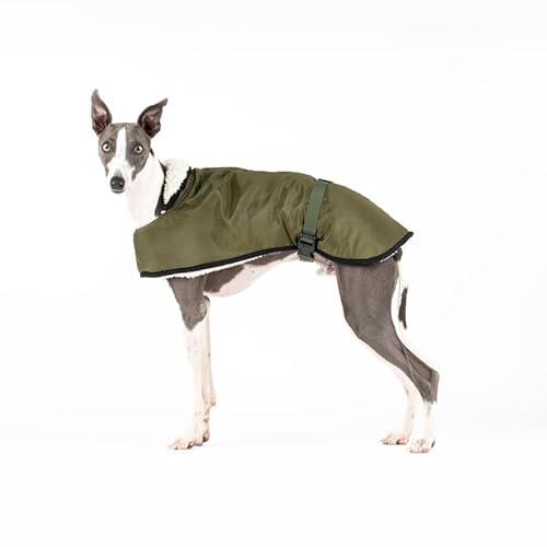 Płaszcz przeciwdeszczowy dla Whippets: styl, ochrona przed zimnem i deszczem - podszewka Borreguito, izolacja termiczna, otwór na szelki - idealny dla Whippet i włoskiego gartów - Khaki, S
