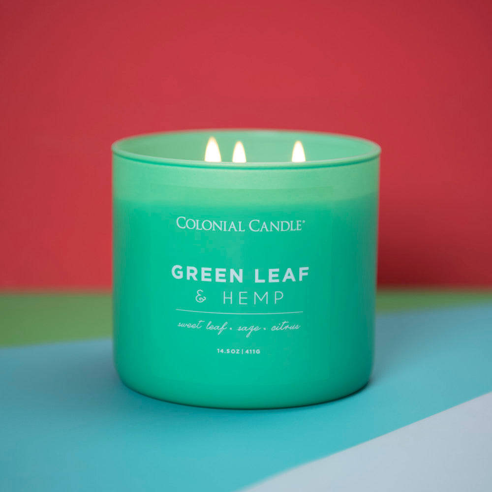 Sojowa świeca zapachowa w szkle 3 knoty Colonial Candle 411 g - Konopie Cytrusy Szałwia Green Leaf & Hemp