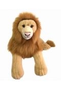 Lew 60cm