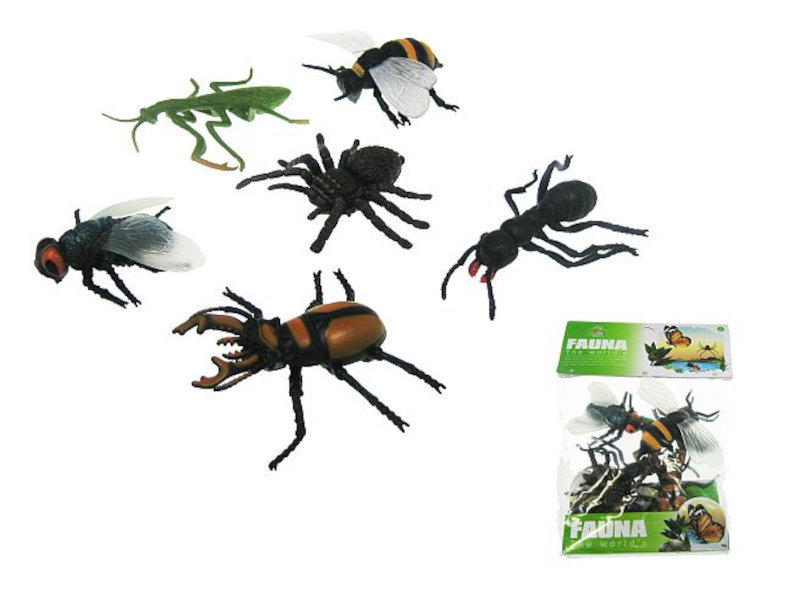 Insekty, pajęczaki 10cm