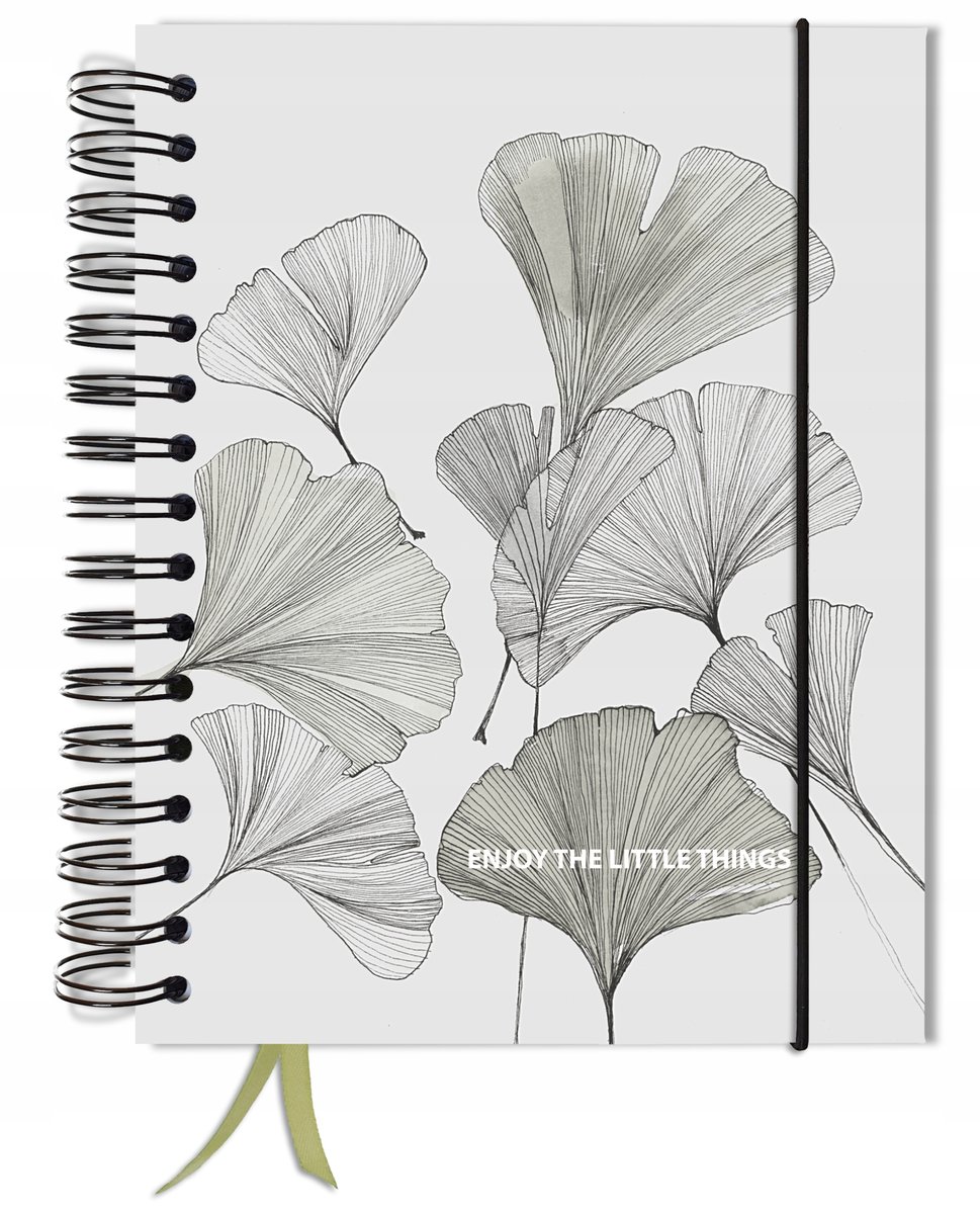 Bujo bullet 180 stron notatnik A5+ kropki pamiętnik gumka