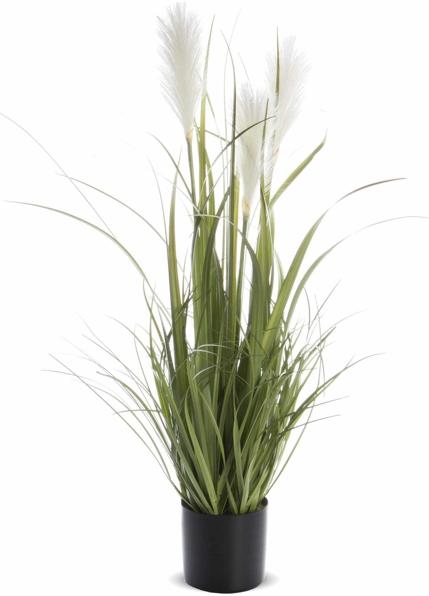 Roślina trawa pampasowa ozdobna dekoracyjna 80x45x45 126949