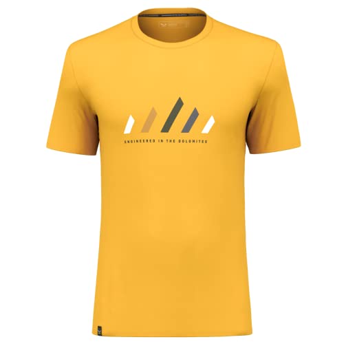 Salewa Męski T-Shirt Pure Stripes Dry M