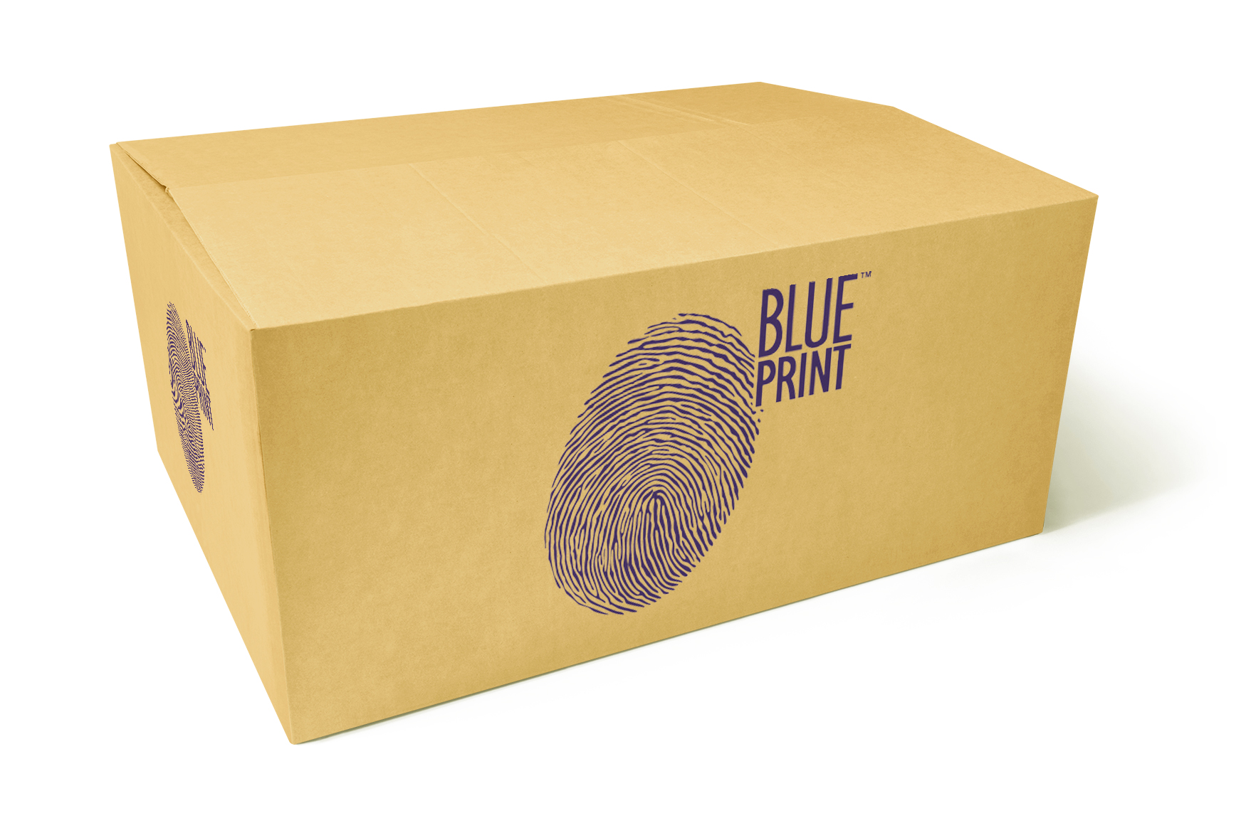 FILTR PALIWA BLUE PRINT ADBP230013  LAND ROVER