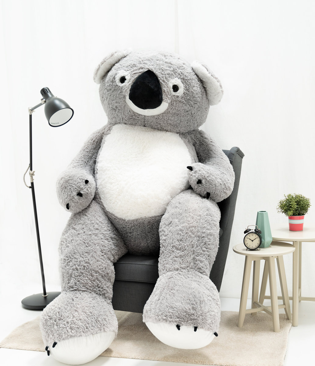 Miś Gustaw, duży miś Koala, 220 cm