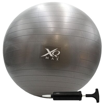 Piłka gimnastyczna XQMAX 1054889 Szary (55 cm)