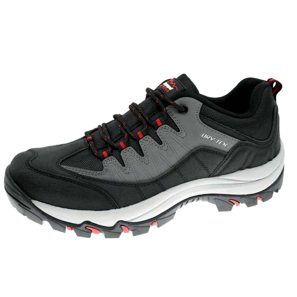 Buty trekkingowe męskie BEPPI 2194700 membrana