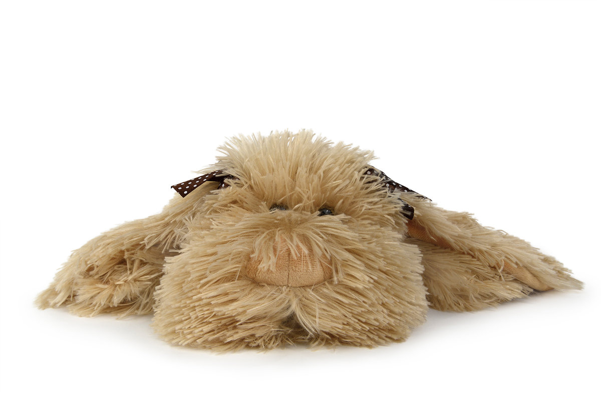 WP Merchandise - Dog Ronnie pluszowa zabawka