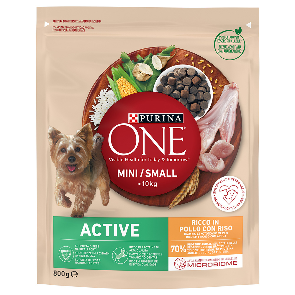 PURINA ONE Mini Active, kurczak i ryż - 800 g