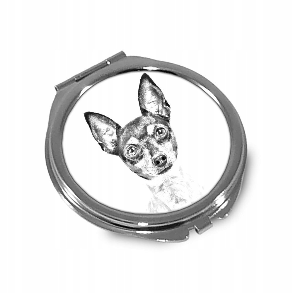 Amerykański toy terrier Lusterko kieszonkowe