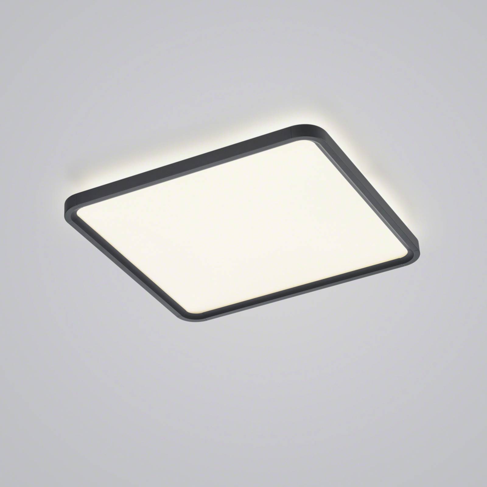 Helestra Vesp panel LED backlight 61x61cm czarny