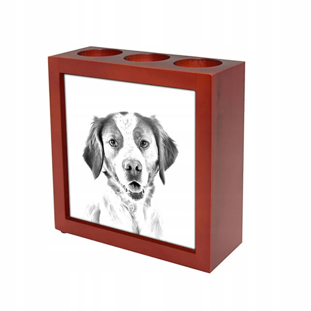Brittany Spaniel Stojak na długopisy, świecznik