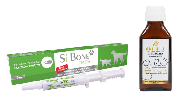 BIOVICO SIBONE PASTA 15 ml + Lab-V Olej z Łososia 100% Dla Psa i Kota w Każdym Wieku 100ml Tłoczony Na Zimno GRATIS !!!