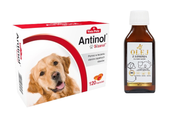 BIOVICO ANTINOL SIZAROL PIES 120 tabletek NA STAWY + Lab-V Olej z Łososia 100% Dla Psa i Kota w Każdym Wieku 100ml Tłoczony Na Zimno GRATIS !!!