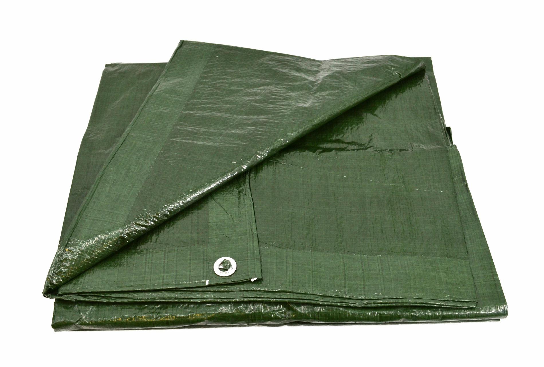 AWTools AW68046 plandeka 8x12 m 90 g kolor zielony