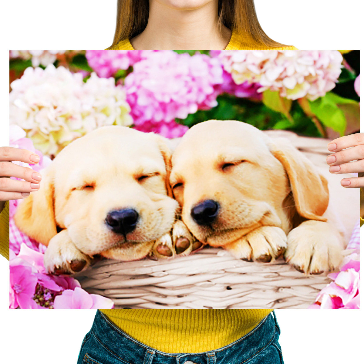 Haft Diamentowy Diamond Painting,DIAMENTOWY MALARZ,Obraz DIY 5D,Mozaika Diamentowa 30x40, Pies