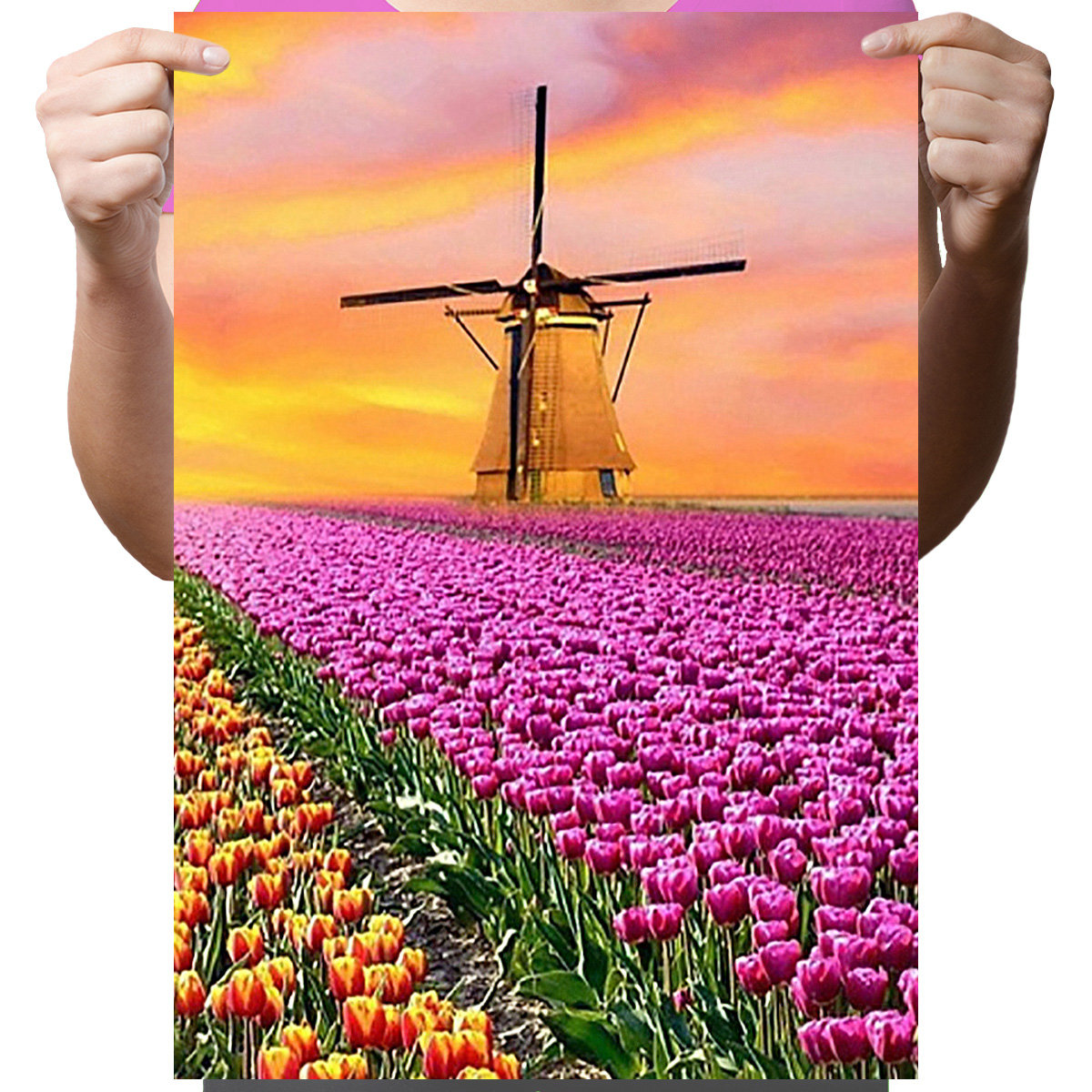 Haft Diamentowy Diamond Painting,DIAMENTOWY MALARZ,Obraz DIY 5D,Mozaika Diamentowa 30x40,Kwiaty