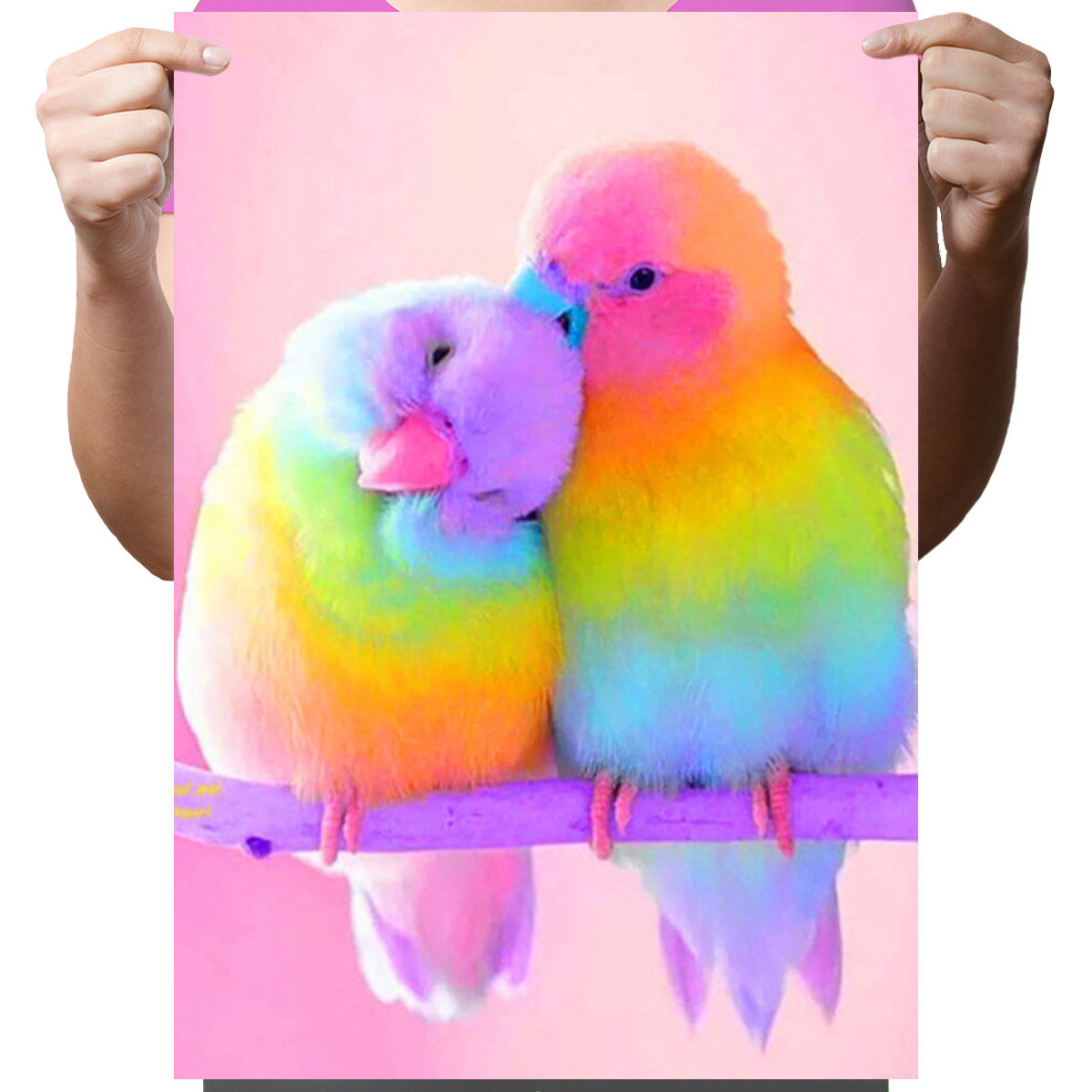 Haft Diamentowy Diamond Painting,DIAMENTOWY MALARZ,Obraz DIY 5D,Mozaika Diamentowa 30x40, Papugi