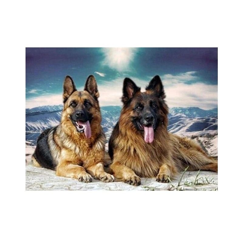 Diamond painting haft diamentowy - Owczarek Niemiecki Wilczur 12069 25x35cm