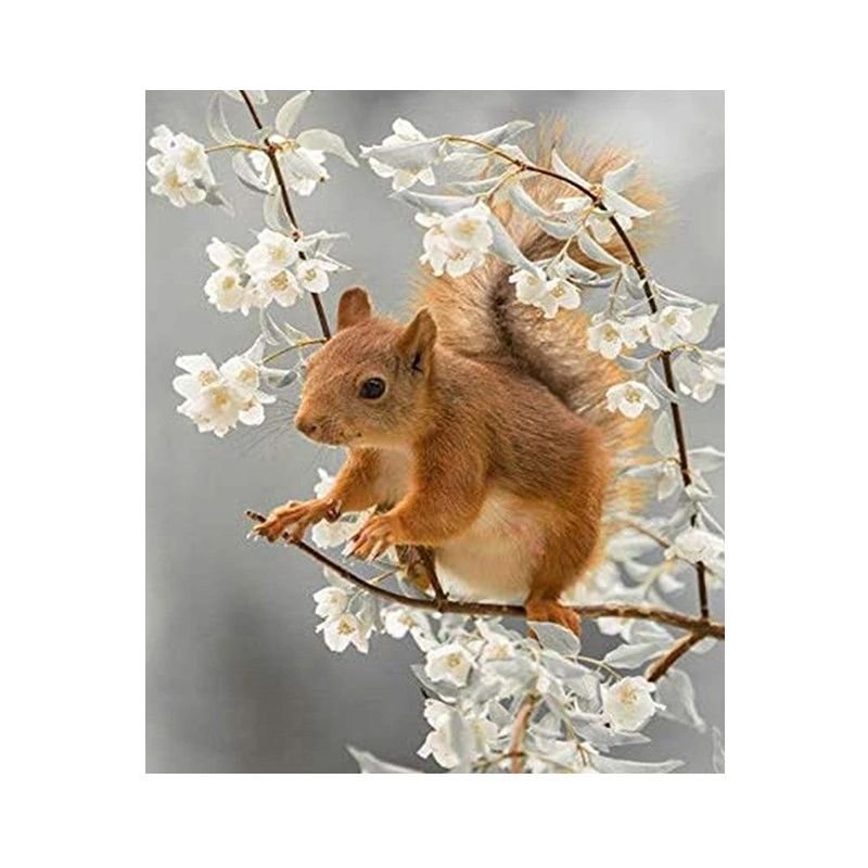 Diamond painting mozaika diamentowa - wiewiórka (15728) 25x35cm, haft DIY