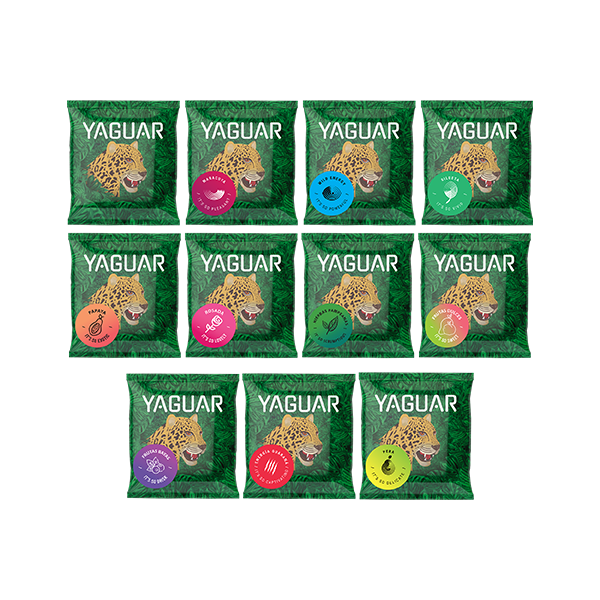 Zestaw Yerba Mate 10 x 50 g  + 50g