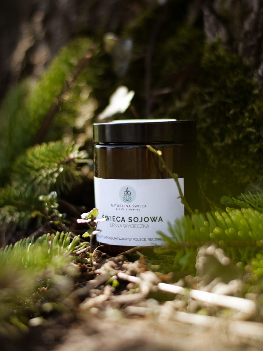 Leśna wycieczka Świeca sojowa 180 ml