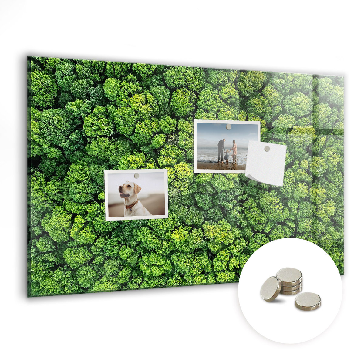 Magnetyczna Tablica ze Wzorem, 60x40 cm + Magnesy, Las z lotu ptaka