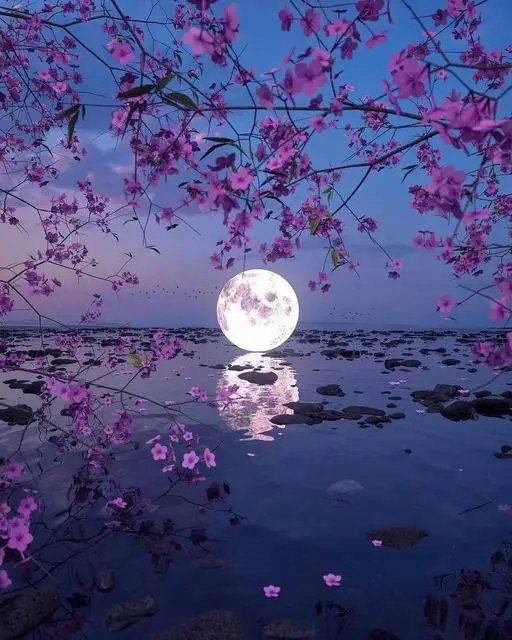 Haft Diamentowy Diamond Painting Mozaika Diamentowa Dla Dzieci Zestaw 5D