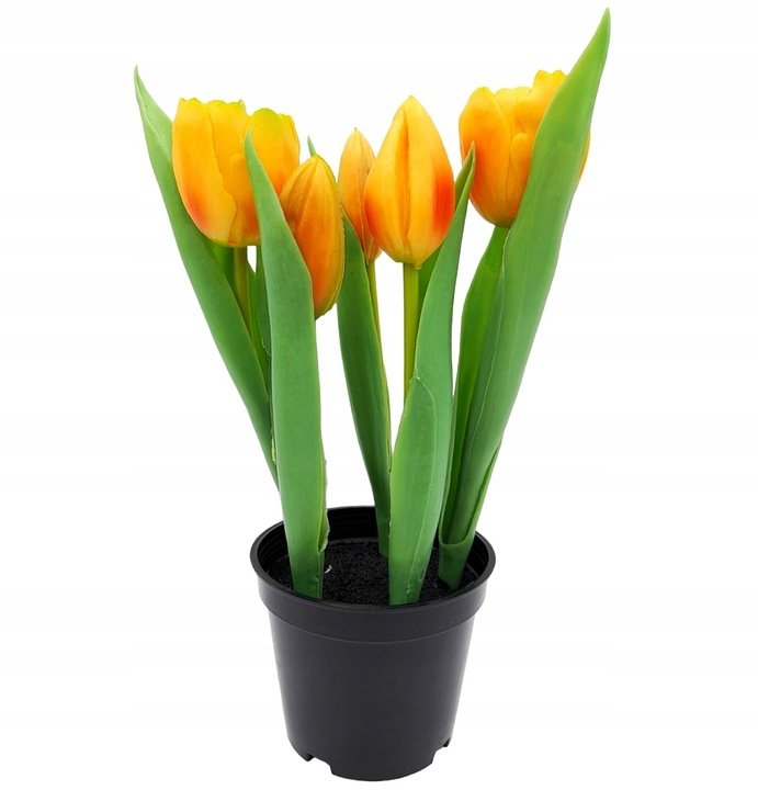 Tulipany silikonowe jak żywe pomarańczowe w doniczce 5 sztuk gumowe 24 cm
