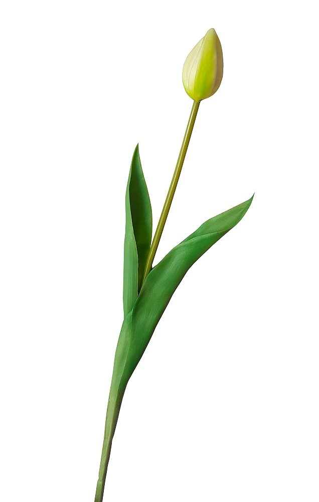 Tulipan silikonowy jak żywy seledynowy gumowy 41 cm