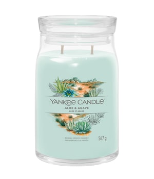 Yankee Candle Aloe & Agave Signature Jar Świeca zapachowa 567 g