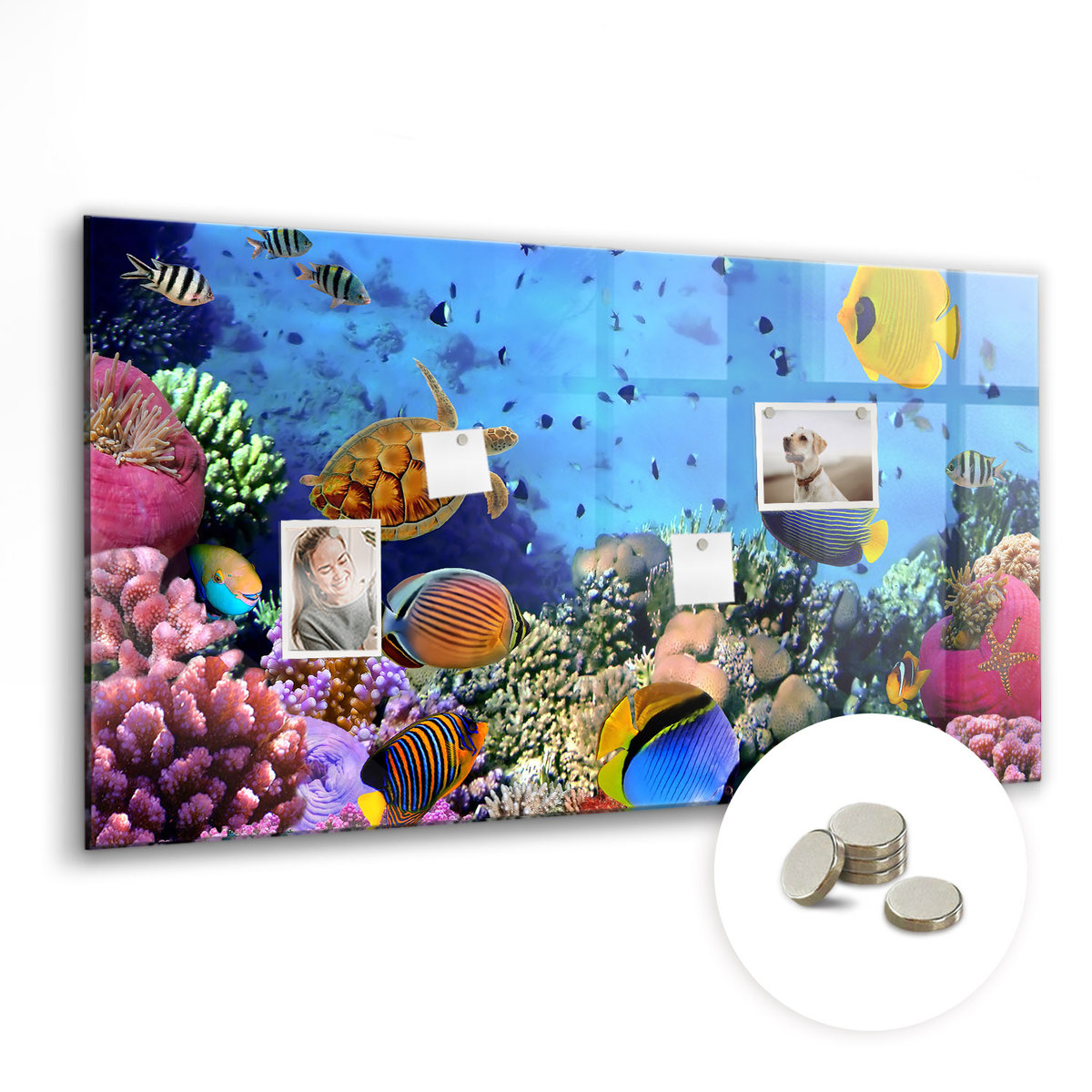 Tablica Magnetyczna do Biura z Magnesami - 120x60 cm, Podwodne życie